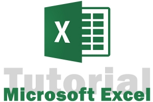 Kopieren und Einfügen von Werten in Excel [Excel Tutorial: Lektion 3]