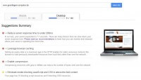 Google Pagespeed Insights