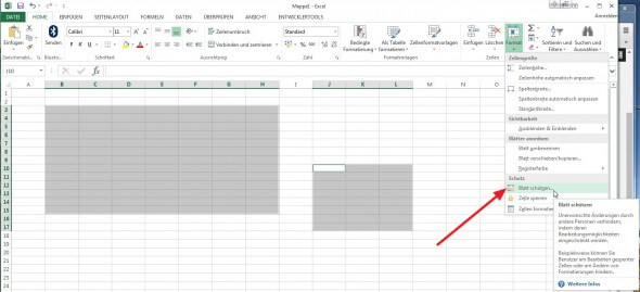 Blatt schützen in Excel