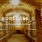 Mit den Weinkühlschränken von BODEGA43 bekommen Sie Spitzenqualität in Ihr Zuhause