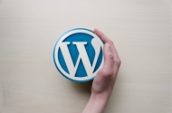 WordPress Hostings im Test