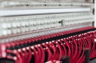Domains: Aufbau, Hosting & Wissenswertes