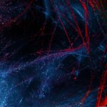 Was ist digitale Kunst, und wie funktioniert sie?