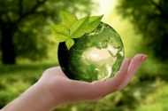 Nachhaltige: Wie können Plattformen umweltfreundlich(er) werden?